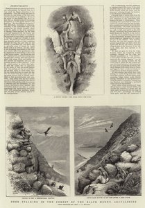 المطاردة الغزلان في غابة الجبل الأسود ، Argyllshire